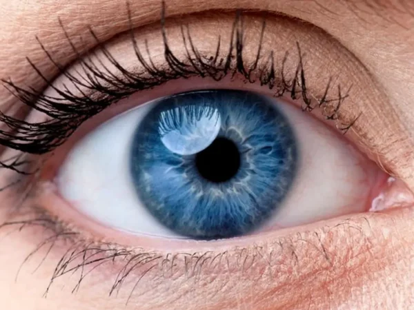 Cercetătorii descoperă cum glandele lacrimale umane pot fi create în laborator pentru a studia sindromul de ochi uscat