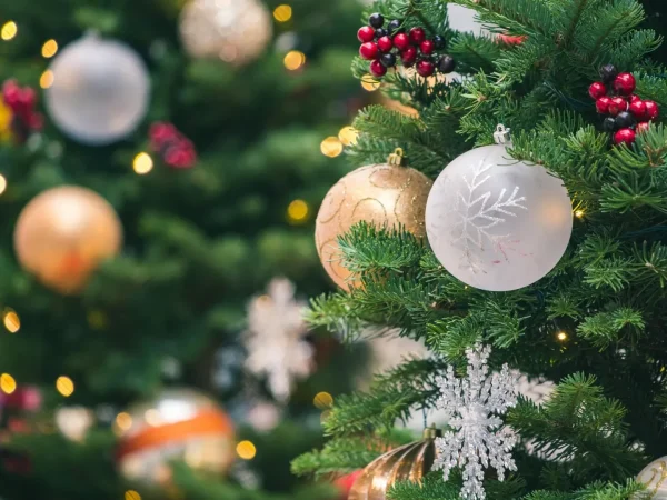 Cum să ai grijă de sănătatea ta în perioada sărbătorilor de iarnă