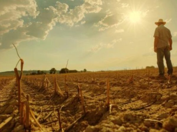 Cum seceta extremă din nordul Europei amenință producția agricolă și resursele de apă