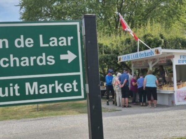 ### Descoperă farmecul cramelor boutique din Niagara: o incursiune în filosofia agricolă și ospitalitatea locală
