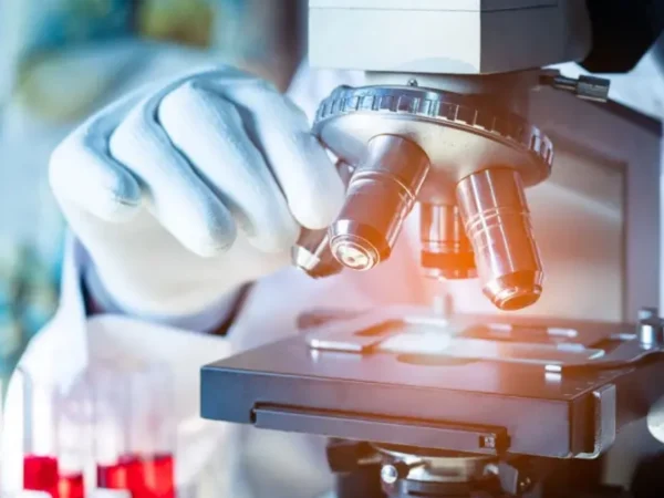 Descoperire științifică: Cum o bacterie comună poate agrava boala Alzheimer