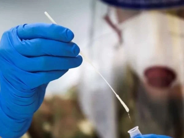 Descoperirea unui virus nou și periculos transmis de lilieci în Bangladesh