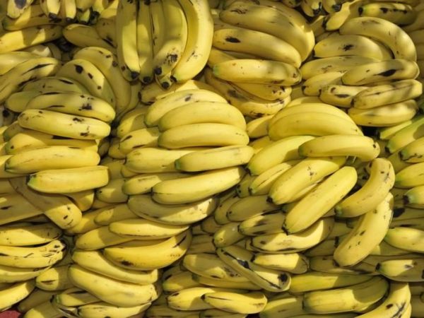 image-2024-03-13-26970899-41-banane_aede45.jpg