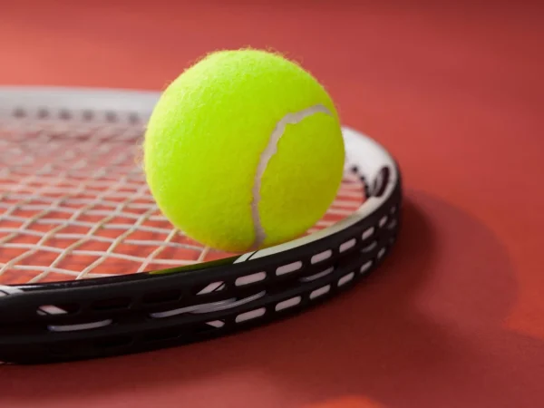 Karolina Muchova devine campioană la Doha: Primul titlu WTA 1000 din carieră