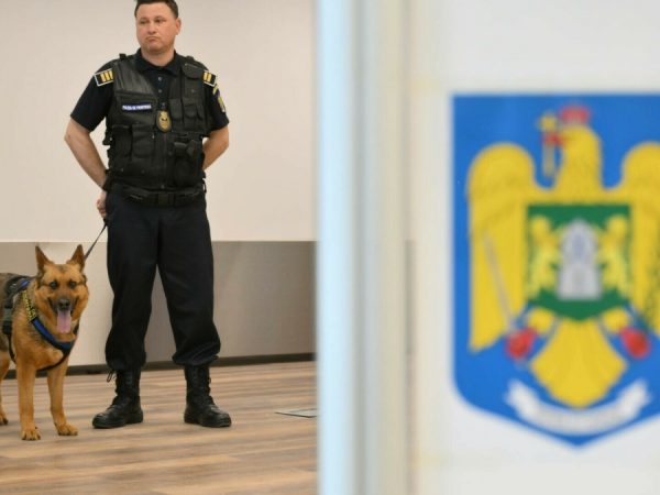 fraudă