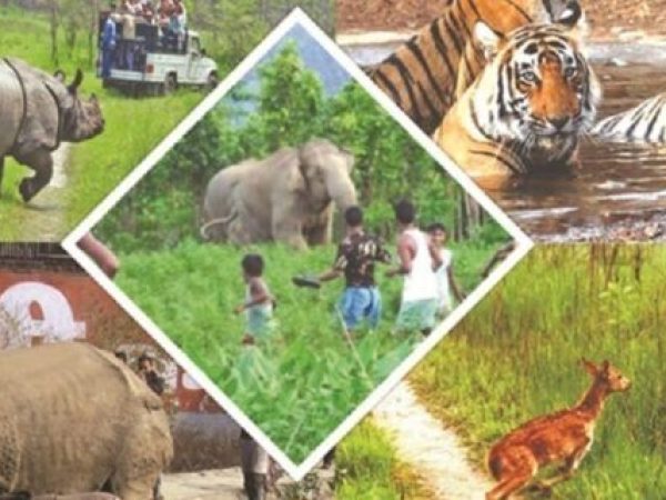 Până în 2070, interacțiunile dintre oameni și animale vor fi la cote alarmante: un raport previzionat