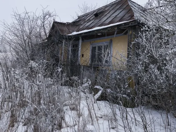 Percheziții în Botoșani: Rețea de documente românești cu acte false expusă de Europol