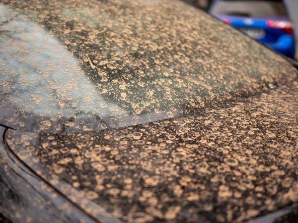 prafului saharian impact clima romania