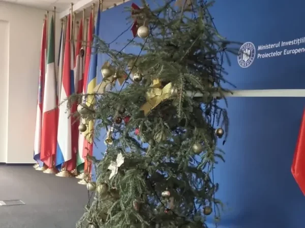 Redactare SEO: Bradul de Crăciun de la MIPE, criticat de Eugen Orlando Teodorovici