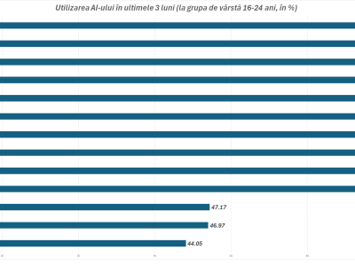Revolutia digitala in Romania: provocari si oportunitati in utilizarea inteligentei artificiale