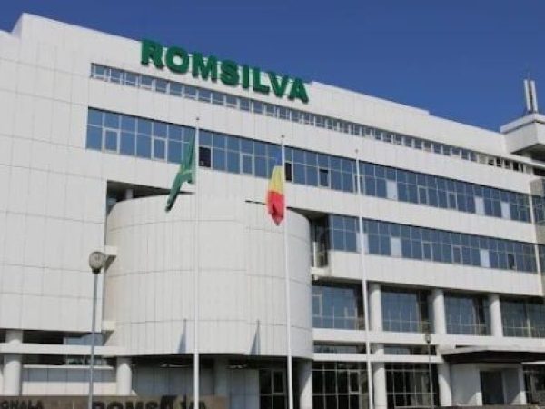 Romsilva a emis deciziile de încetare a contractului de muncă pentru patru pădurari condamnați pentru furt de lemne