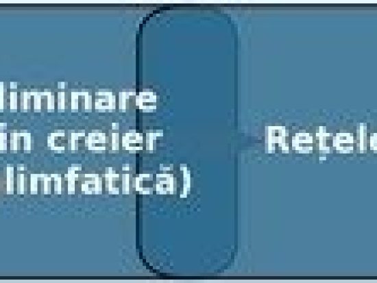 somn-2-dall-e-ai.jpg